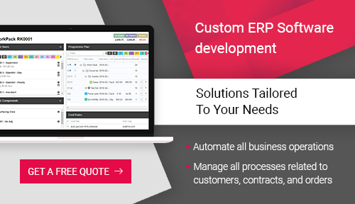 Custom ERP software