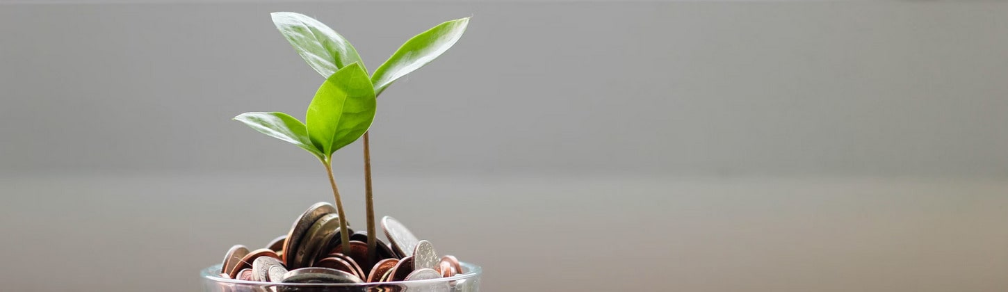 How to Win Market Competition and Cultivate an Evergreen Business: 5 Tips on Swimmingly Growing B2B SaaS Startup