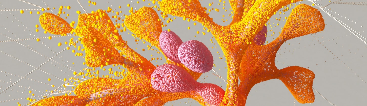 Making Software Systems to Heal Themselves. How Digital Immune Systems Work