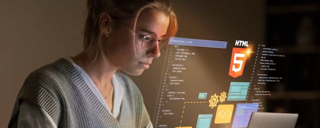 Software Customization