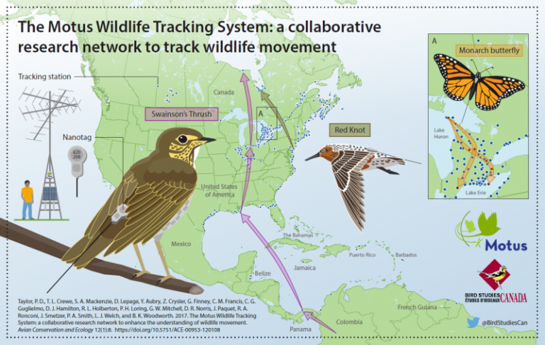 Comprehensive Tracking Systems: Monitor & Optimize with Precision - XB ...