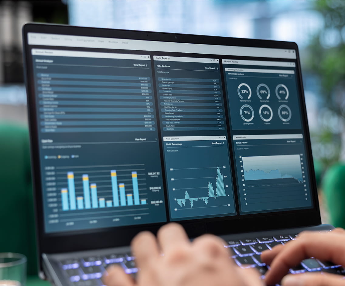 Data Visualization Systems