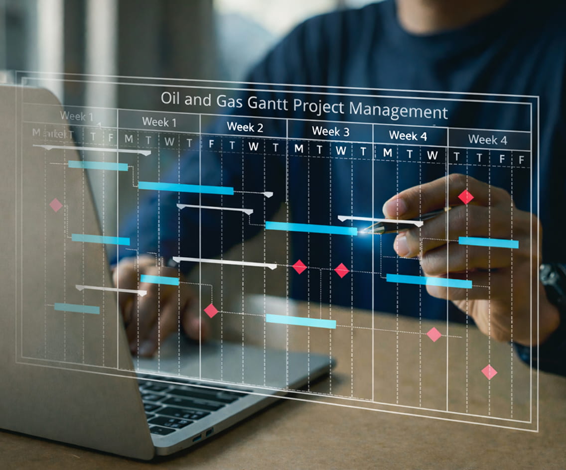 Project Management Systems